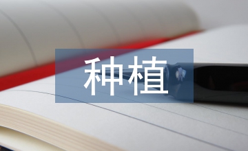 簡析有機農業種植土壤培肥技術